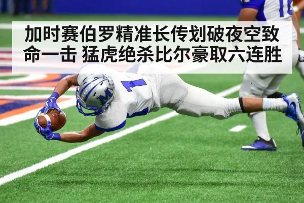 american football touchdown catch